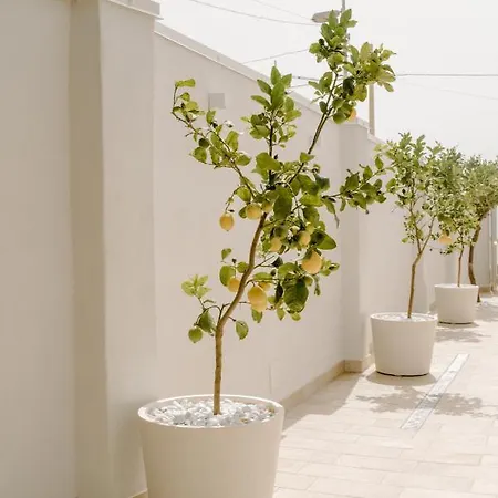 Guest house Angelica - *