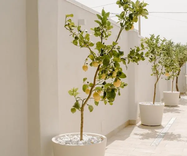 Pensjonat Angelica - 3*